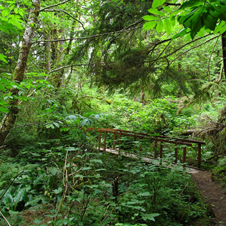 Bogachiel trail shop